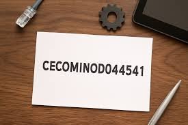 Cecominod044541: The Ultimate Guide to This High-Performance Router for Seamless Connectivity